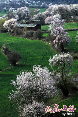 桃花源桃花山