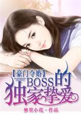 豪门夺婚:BOSS的独家挚爱