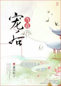 宠后当道 小说